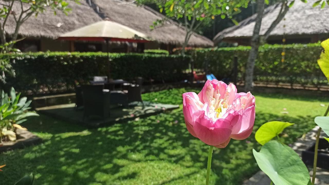 Bed and Breakfast Mama Bella'S Retreat Senggigi Exterior foto